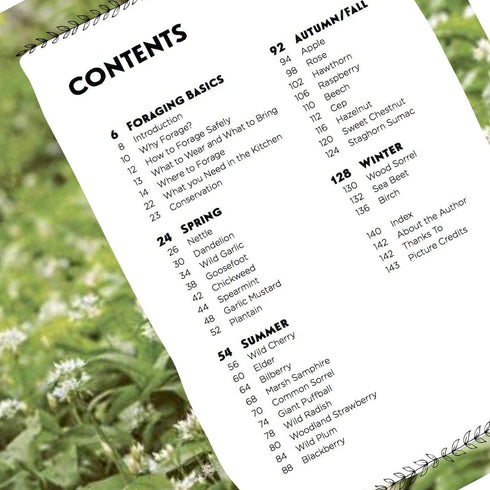 Family Foraging: A Fun Guide to Eating Wild Plants